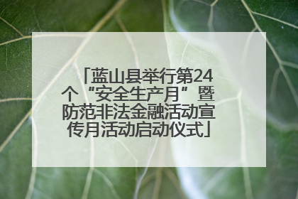 蓝山县举行第24个“安全生产月”暨防范非法金融活动宣传月活动启动仪式