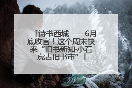 诗书西城——6月底收官！这个周末快来“旧书新知·小石虎古旧书市”
