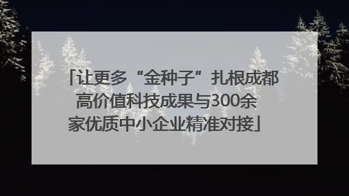 让更多“金种子”扎根成都 高价值科技成果与300余家优质中小企业精准对接