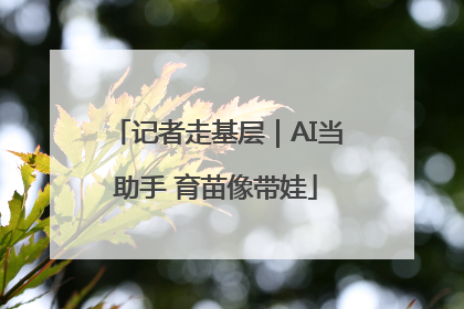 记者走基层｜AI当助手 育苗像带娃