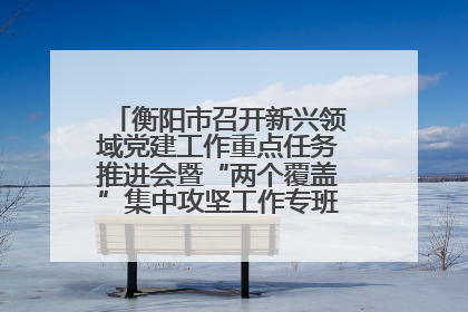 衡阳市召开新兴领域党建工作重点任务推进会暨“两个覆盖”集中攻坚工作专班 第一次会议
