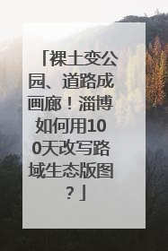裸土变公园、道路成画廊！淄博如何用100天改写路域生态版图？