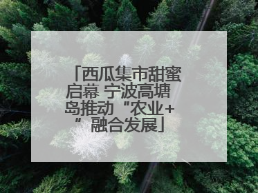 西瓜集市甜蜜启幕 宁波高塘岛推动“农业+”融合发展