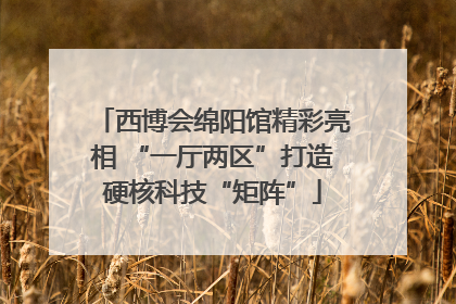 西博会绵阳馆精彩亮相 “一厅两区”打造硬核科技“矩阵”