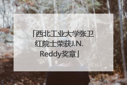 西北工业大学张卫红院士荣获J.N.Reddy奖章