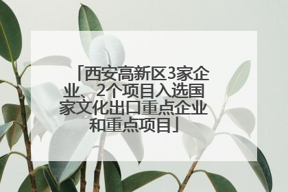 西安高新区3家企业、2个项目入选国家文化出口重点企业和重点项目