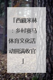 西藏米林：乡村赛马体育文化活动圆满收官