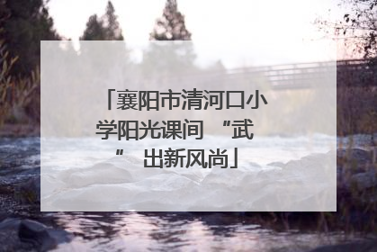 襄阳市清河口小学阳光课间 “武” 出新风尚