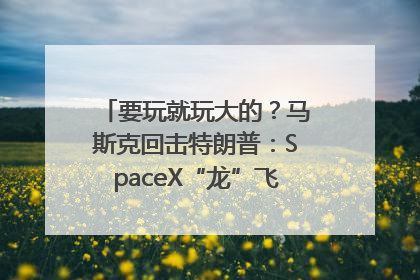 要玩就玩大的？马斯克回击特朗普：SpaceX“龙”飞船将立即退役！
