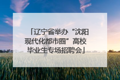辽宁省举办“沈阳现代化都市圈”高校毕业生专场招聘会