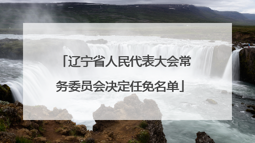 辽宁省人民代表大会常务委员会决定任免名单