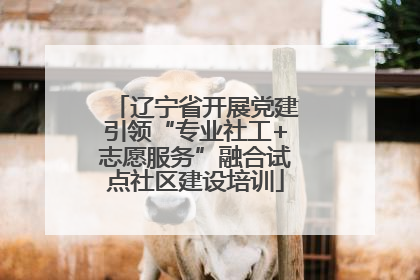 辽宁省开展党建引领“专业社工+志愿服务”融合试点社区建设培训