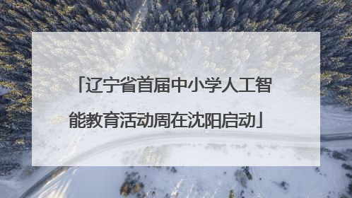辽宁省首届中小学人工智能教育活动周在沈阳启动