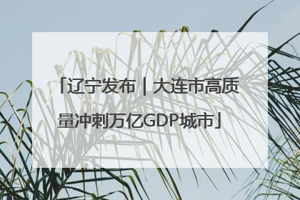 辽宁发布｜大连市高质量冲刺万亿GDP城市