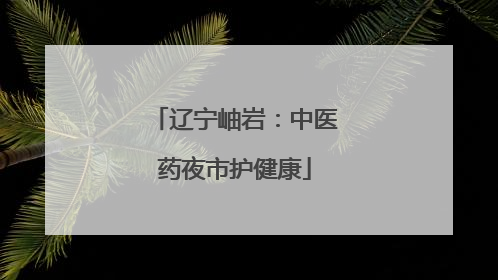 辽宁岫岩：中医药夜市护健康