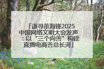 谦寻董海锋2025中国网络文明大会发声：以“三个向善”构建直播电商善意长河