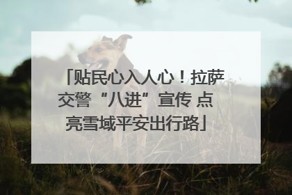 贴民心入人心！拉萨交警“八进”宣传 点亮雪域平安出行路
