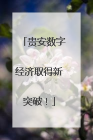 贵安数字经济取得新突破！