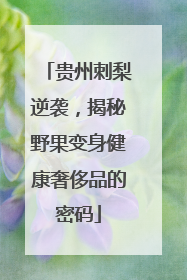 贵州刺梨逆袭，揭秘野果变身健康奢侈品的密码