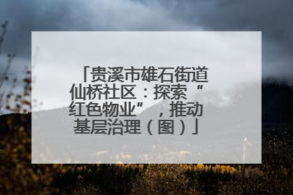 贵溪市雄石街道仙桥社区：探索“红色物业”，推动基层治理（图）