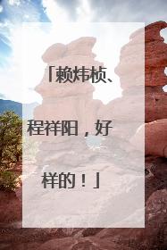 赖炜桢、程祥阳，好样的！