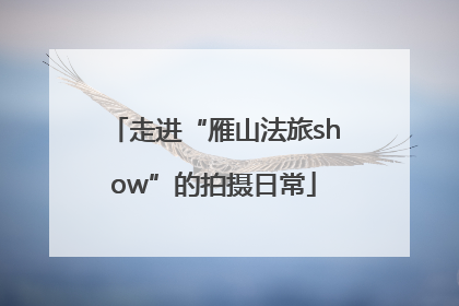 走进“雁山法旅show”的拍摄日常