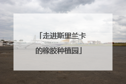 走进斯里兰卡的橡胶种植园