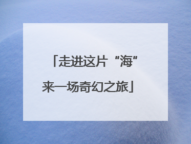 走进这片“海”来一场奇幻之旅