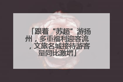 跟着“苏超”游扬州，多重福利迎客流，文旅名城接待游客量同比激增