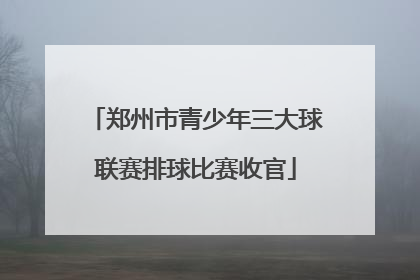 郑州市青少年三大球联赛排球比赛收官