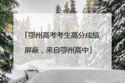鄂州高考考生高分成绩屏蔽，来自鄂州高中