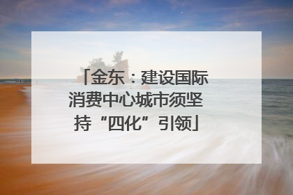 金东：建设国际消费中心城市须坚持“四化”引领