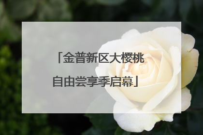 金普新区大樱桃自由尝享季启幕