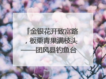 金银花开致富路，板栗青果满枝头——团风县钓鱼台村“山水生金”谱写共富新篇章