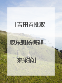 青田首批双膜东魁杨梅迎来采摘