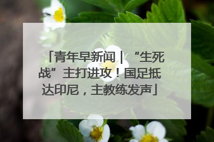 青年早新闻｜“生死战”主打进攻！国足抵达印尼，主教练发声