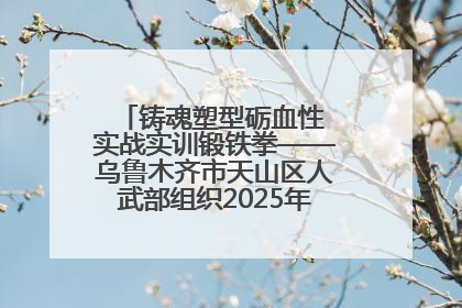 铸魂塑型砺血性 实战实训锻铁拳——乌鲁木齐市天山区人武部组织2025年度民兵集中轮训