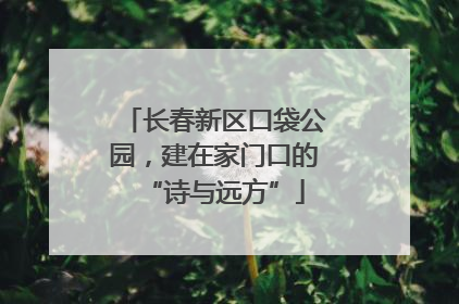 长春新区口袋公园，建在家门口的“诗与远方”