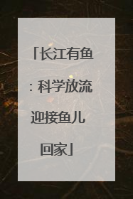 长江有鱼：科学放流 迎接鱼儿回家