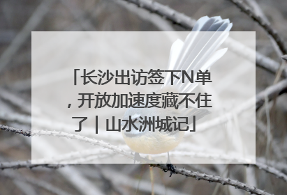 长沙出访签下N单，开放加速度藏不住了｜山水洲城记