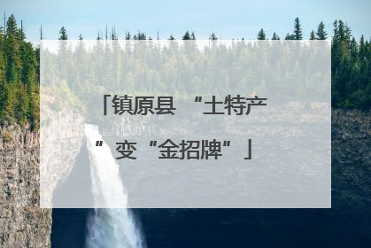 镇原县 “土特产”变“金招牌”