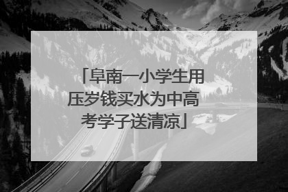 阜南一小学生用压岁钱买水为中高考学子送清凉