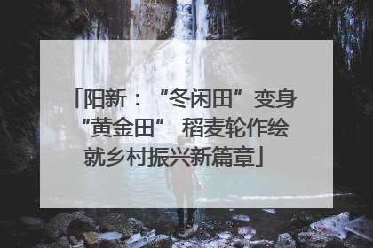 阳新：“冬闲田”变身“黄金田” 稻麦轮作绘就乡村振兴新篇章