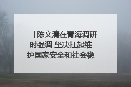 陈文清在青海调研时强调 坚决扛起维护国家安全和社会稳定职责使命 为谱写中国式现代化青海篇章贡献政法力量