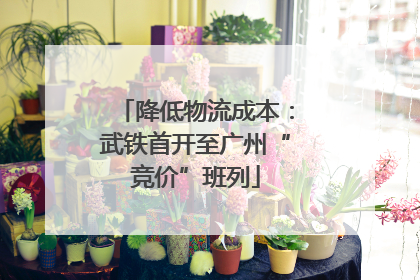 降低物流成本：武铁首开至广州“竞价”班列
