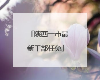陕西一市最新干部任免