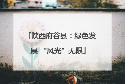 陕西府谷县：绿色发展 “风光”无限
