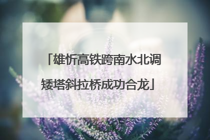 雄忻高铁跨南水北调矮塔斜拉桥成功合龙
