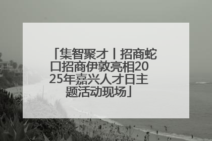 集智聚才丨招商蛇口招商伊敦亮相2025年嘉兴人才日主题活动现场