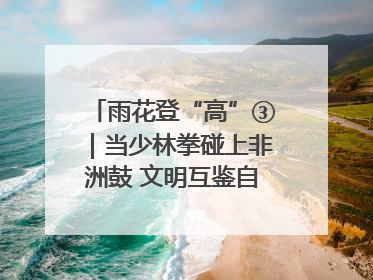 雨花登“高”③｜当少林拳碰上非洲鼓 文明互鉴自有动人韵律